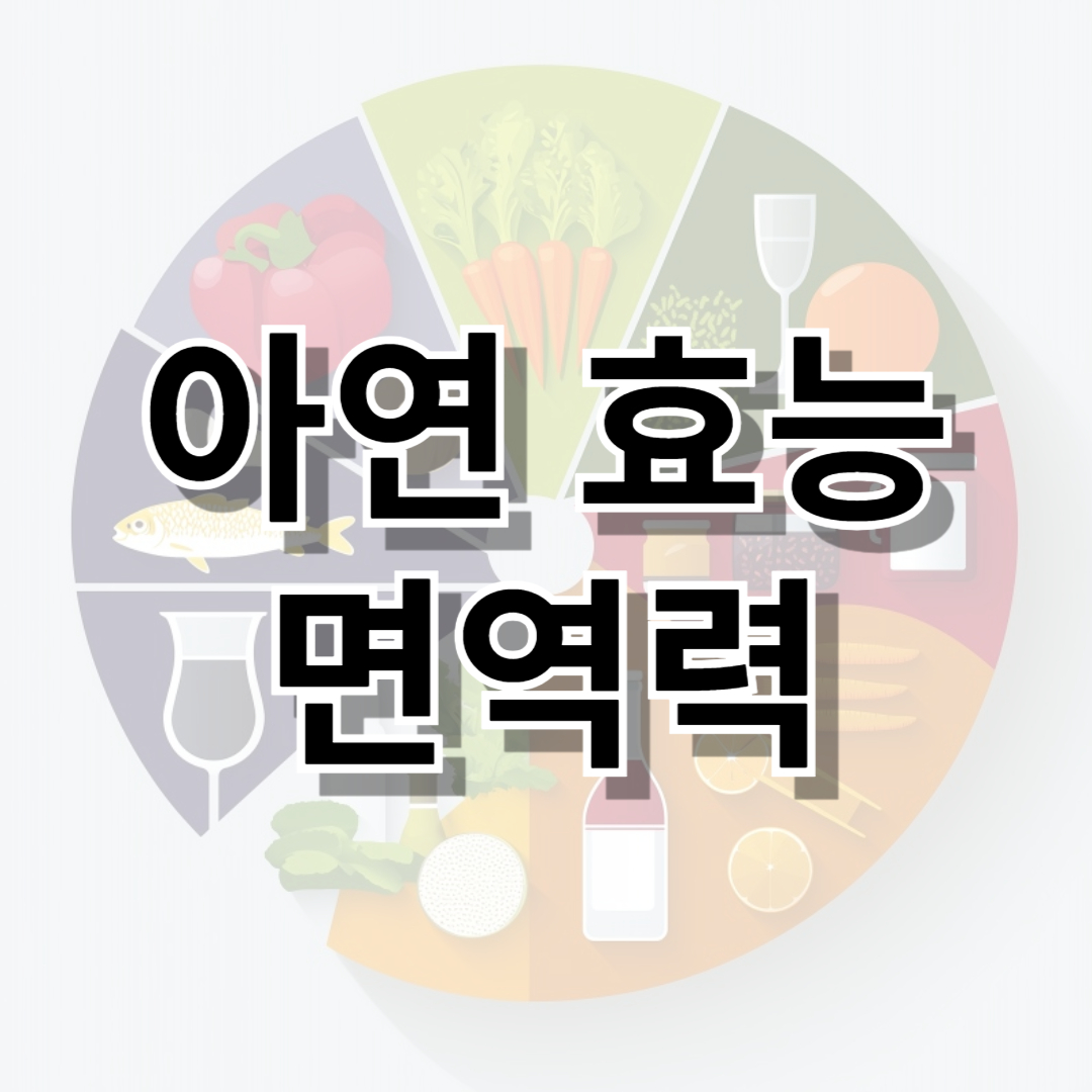 아연효능