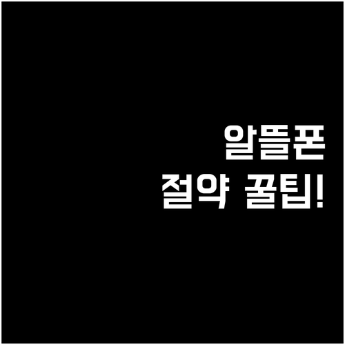 알뜰폰으로 번호 두 개 운영하여 통신..