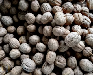 고지혈증에 좋은 음식 top8 증상 나쁜 음식