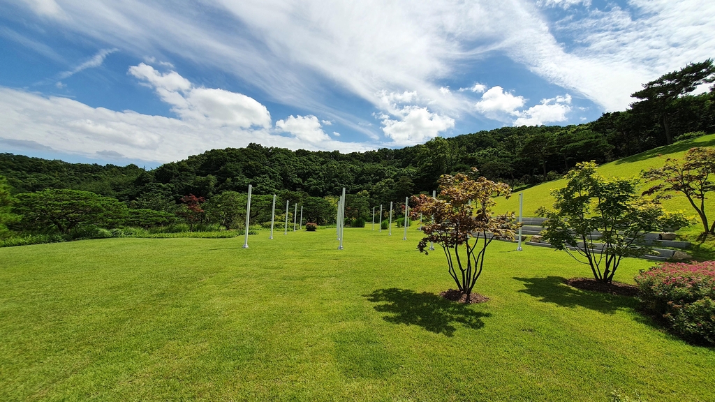 에버랜드 비밀의 은행나무숲 예약