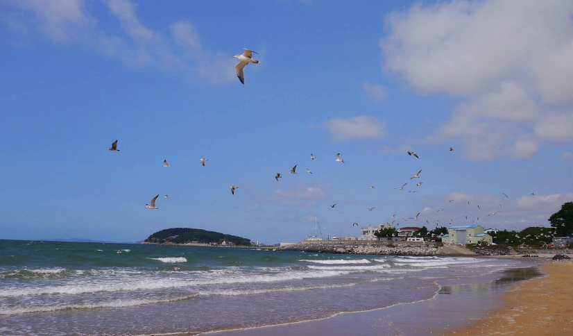 보령시 해수욕장