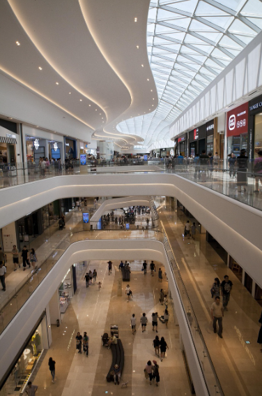 쇼핑몰 반려견 동반 정책 관련 사진