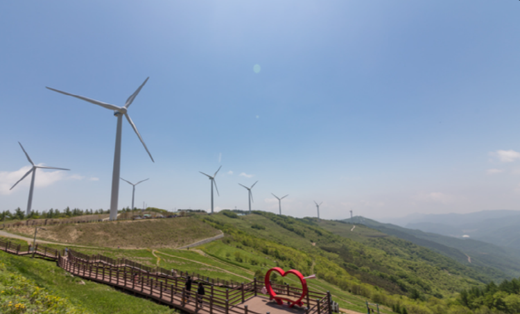 평창 육백마지기