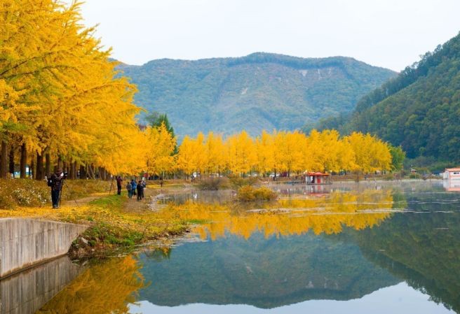 대한민국 숙박 세일 페스타