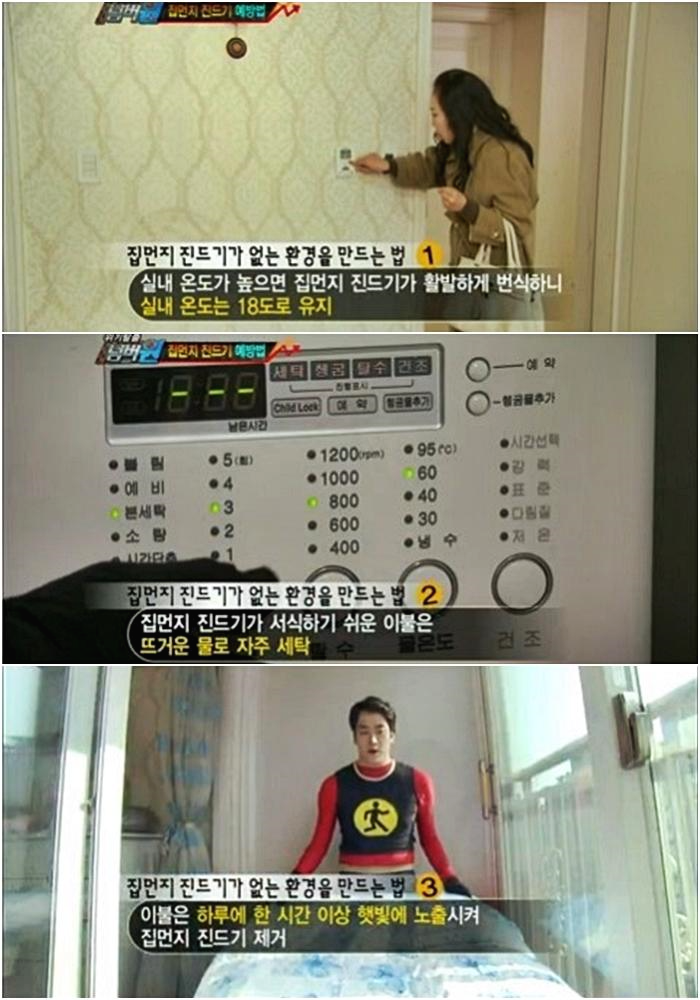 위기탈출넘버원-진드기