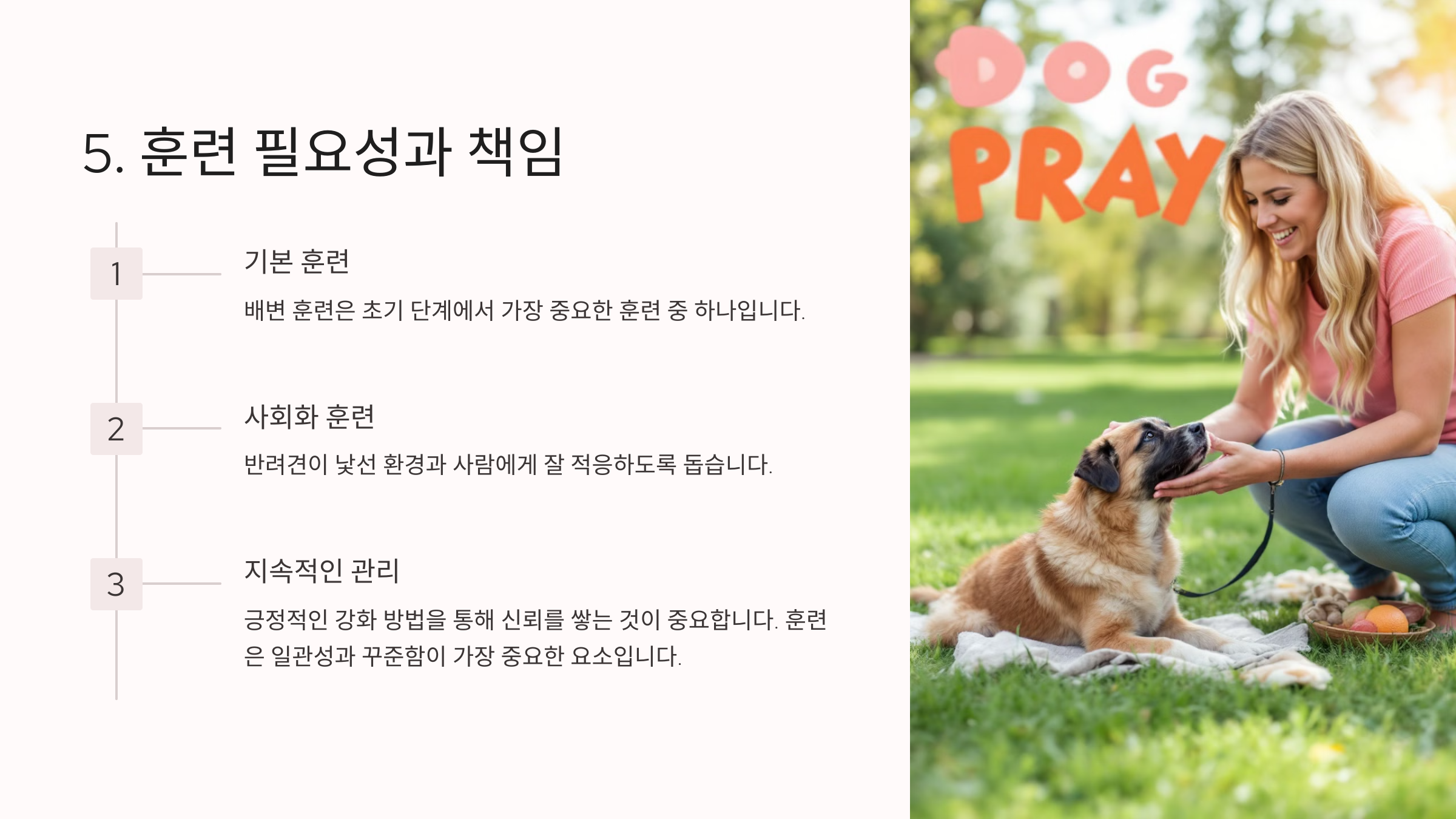 훈련 필요성과 책임