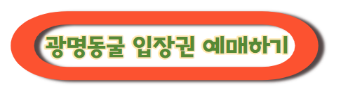 광명동굴 입장권 구매하기