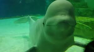 2025 수험표 할인 혜택 받는법 총정리