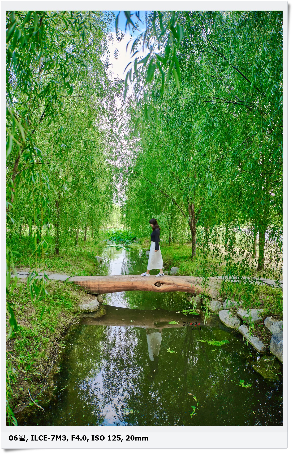 연꽃연못&통나무 외나무다리 포토존이 있는 울산 연암정원