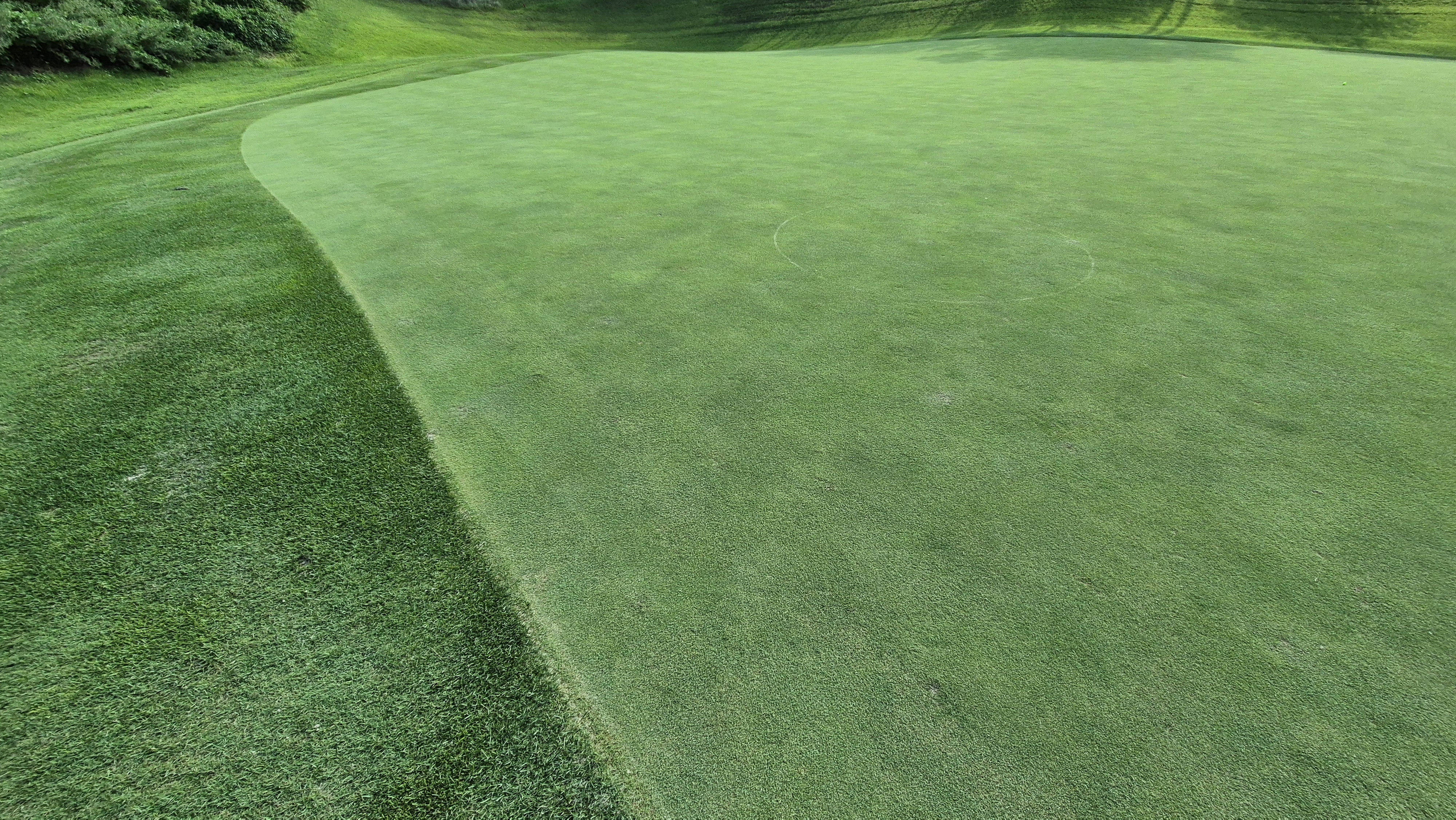 대영힐스cc 청-력 코스 라운드 후기