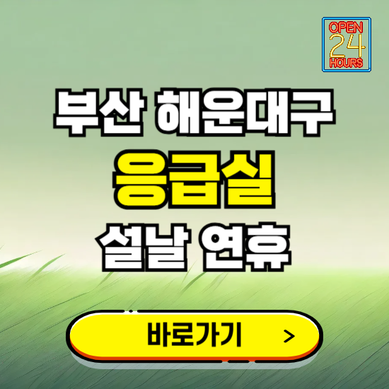 부산 해운대구 설날 연휴 비상진료 응급실 병원 찾기 ❘ 내근처 24시 야간 심야 휴일 가능한 곳