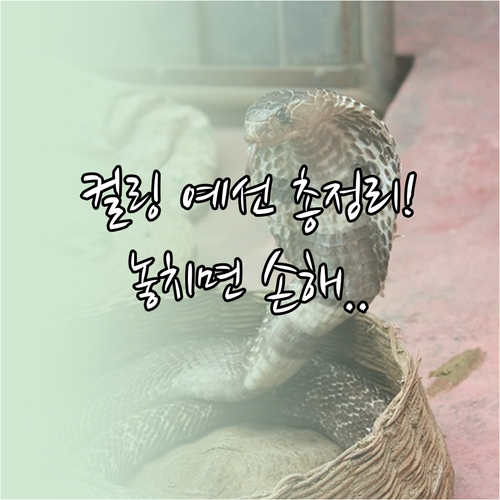 2026년 동계올림픽 여자 컬링 예선..