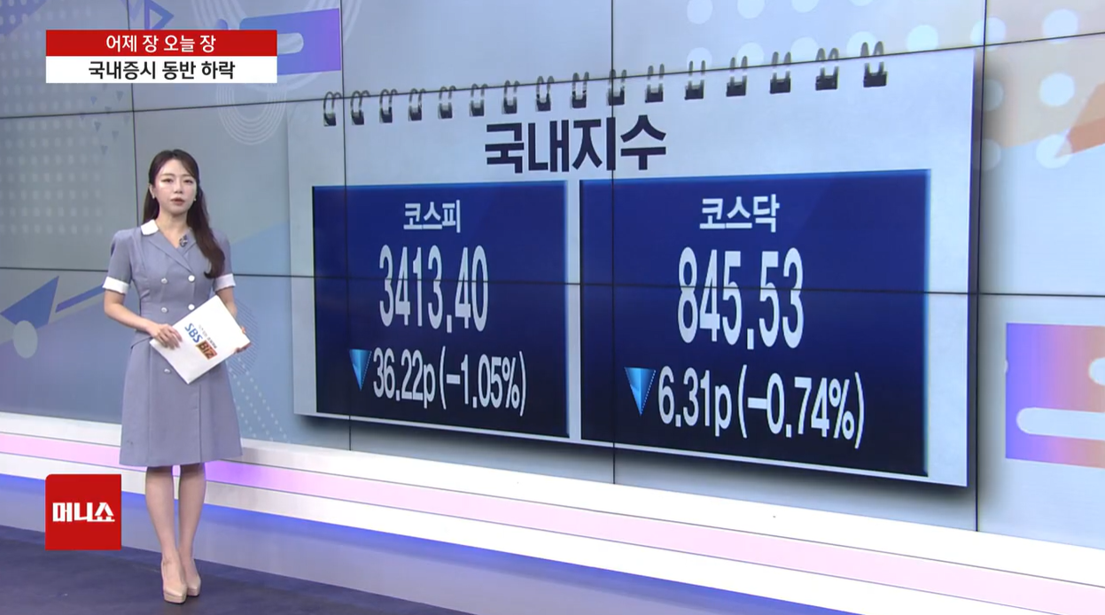 SK하이닉스 삼성전자 환율 반도체