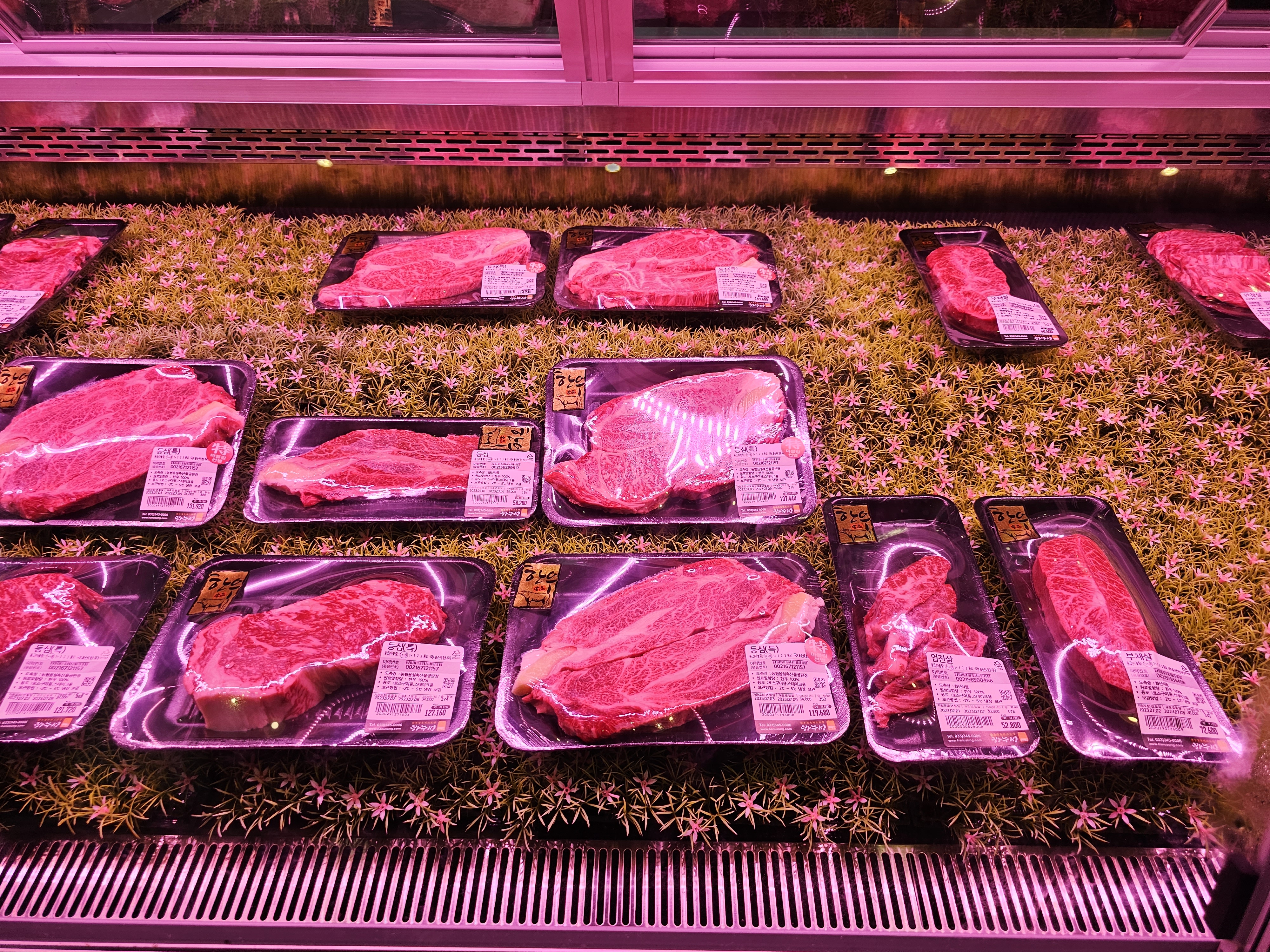 강원도_횡성군_둔내면_하누성_한우종류