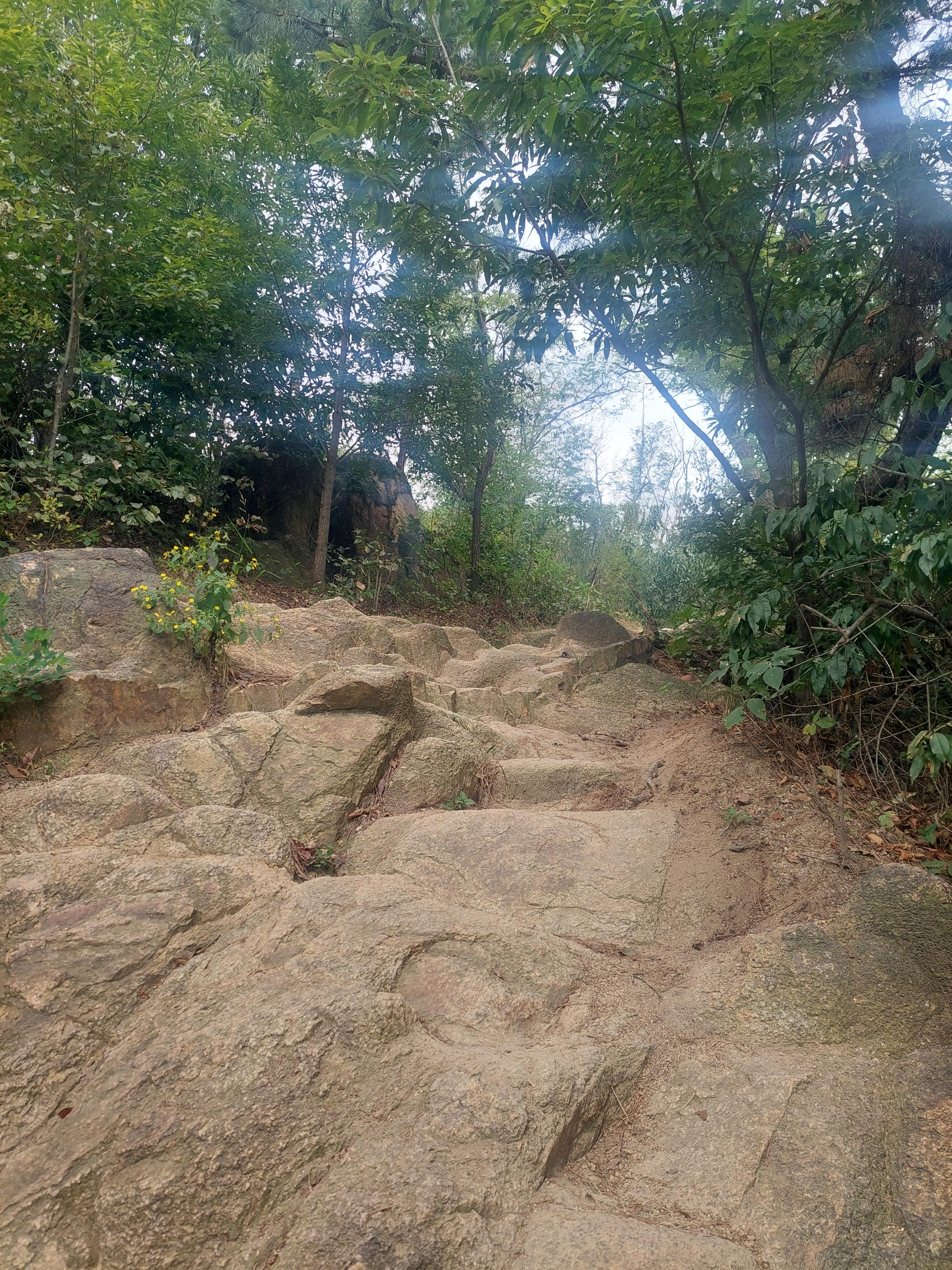 안산