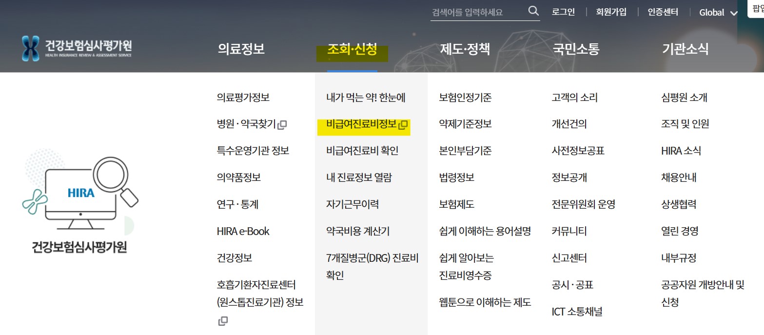 건강보험심사평가원 진료비 확인