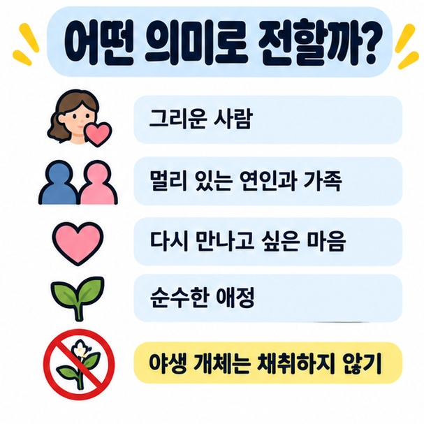 그리운 사람과 다시 만나고 싶은 마음을 상징하며 야생 개체는 채취하지 않고 보호해야 함을 정리한 카드