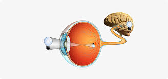 녹내장 초기증상 원인 치료방법