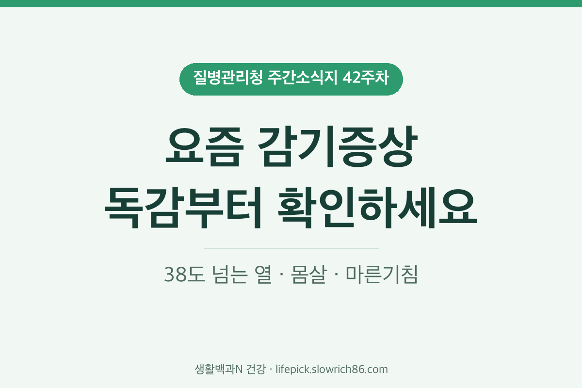요즘 감기증상 독감 리노바이러스 38도 열 몸살 질병관리청