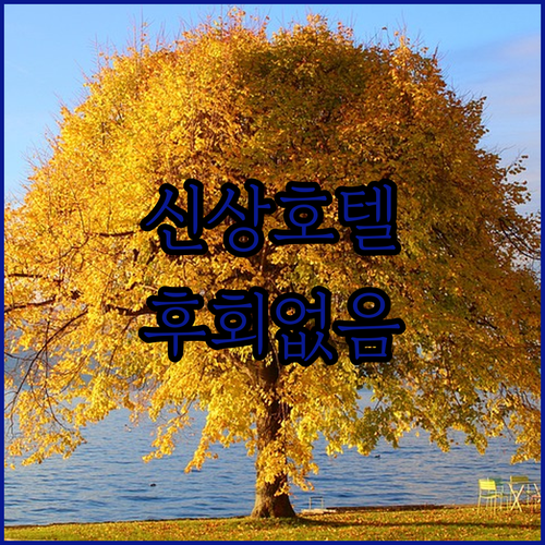 치앙라이 신상 호텔 코코텔 치앙라이 ..