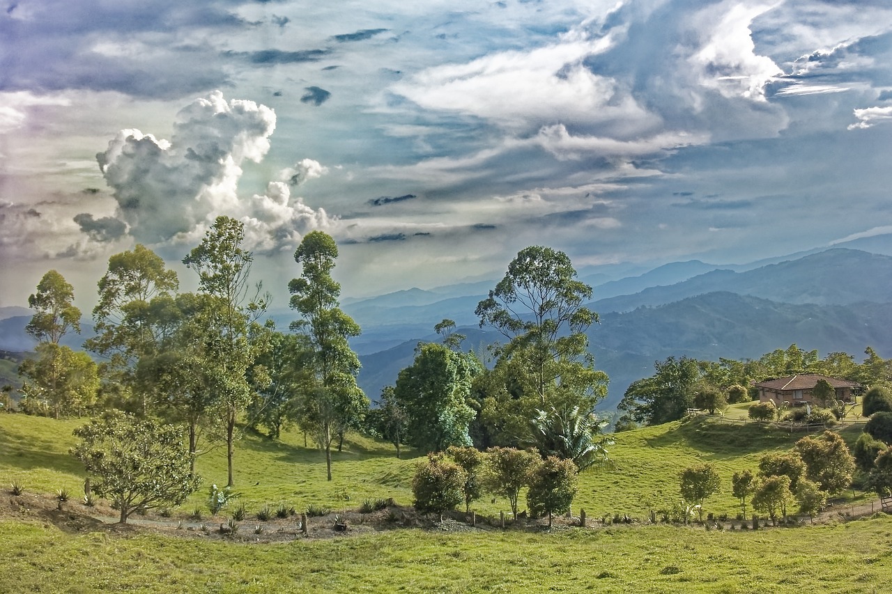 철원 두루웰 숲속문화촌