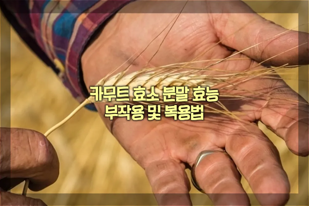 카무트 효소 분말 효능 부작용 복용법
