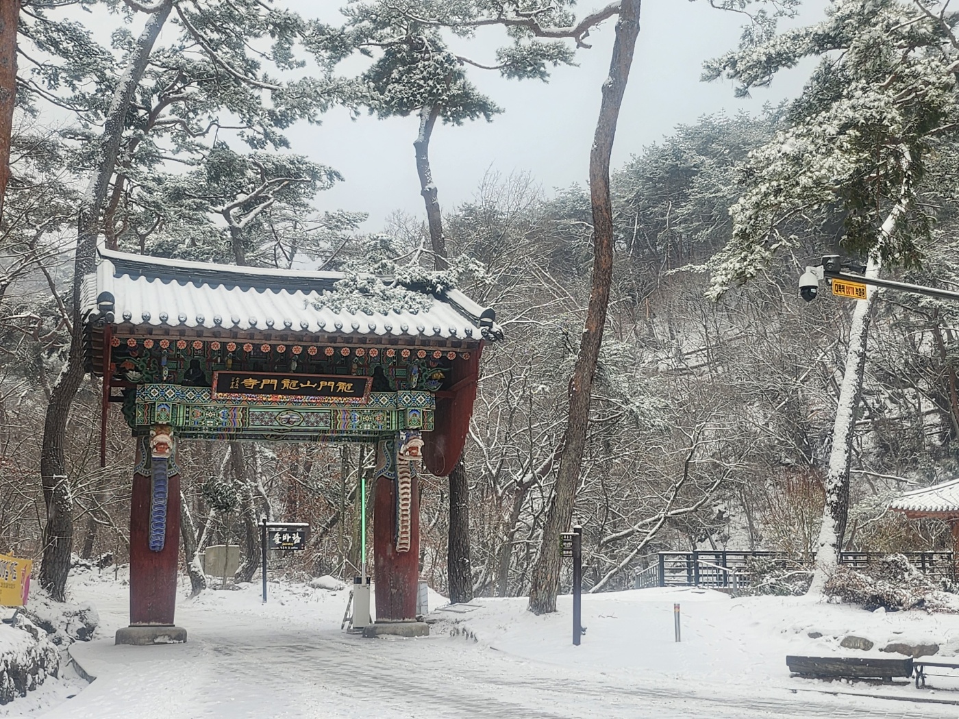 용문사