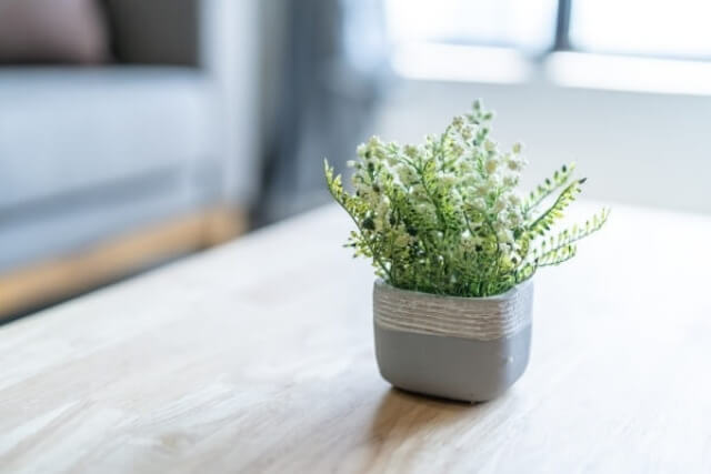 테이블에 화분이 있는 평화로운 분위기의 실내