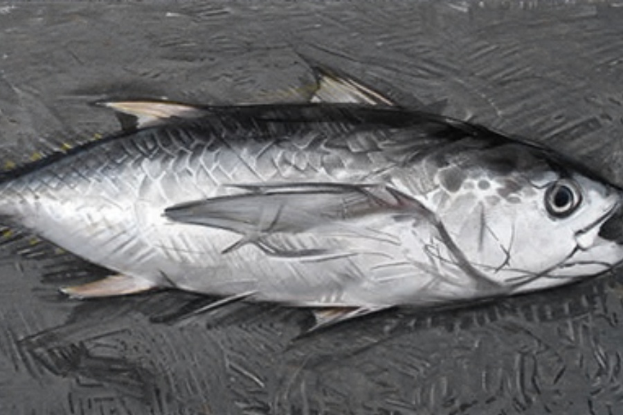 생선 비린내 제거하는 방법