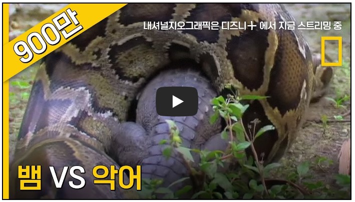 다큐멘터리 유튜버 순위 TOP 8 6