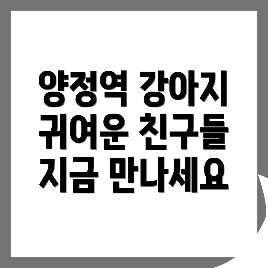 양정역 강아지 분양