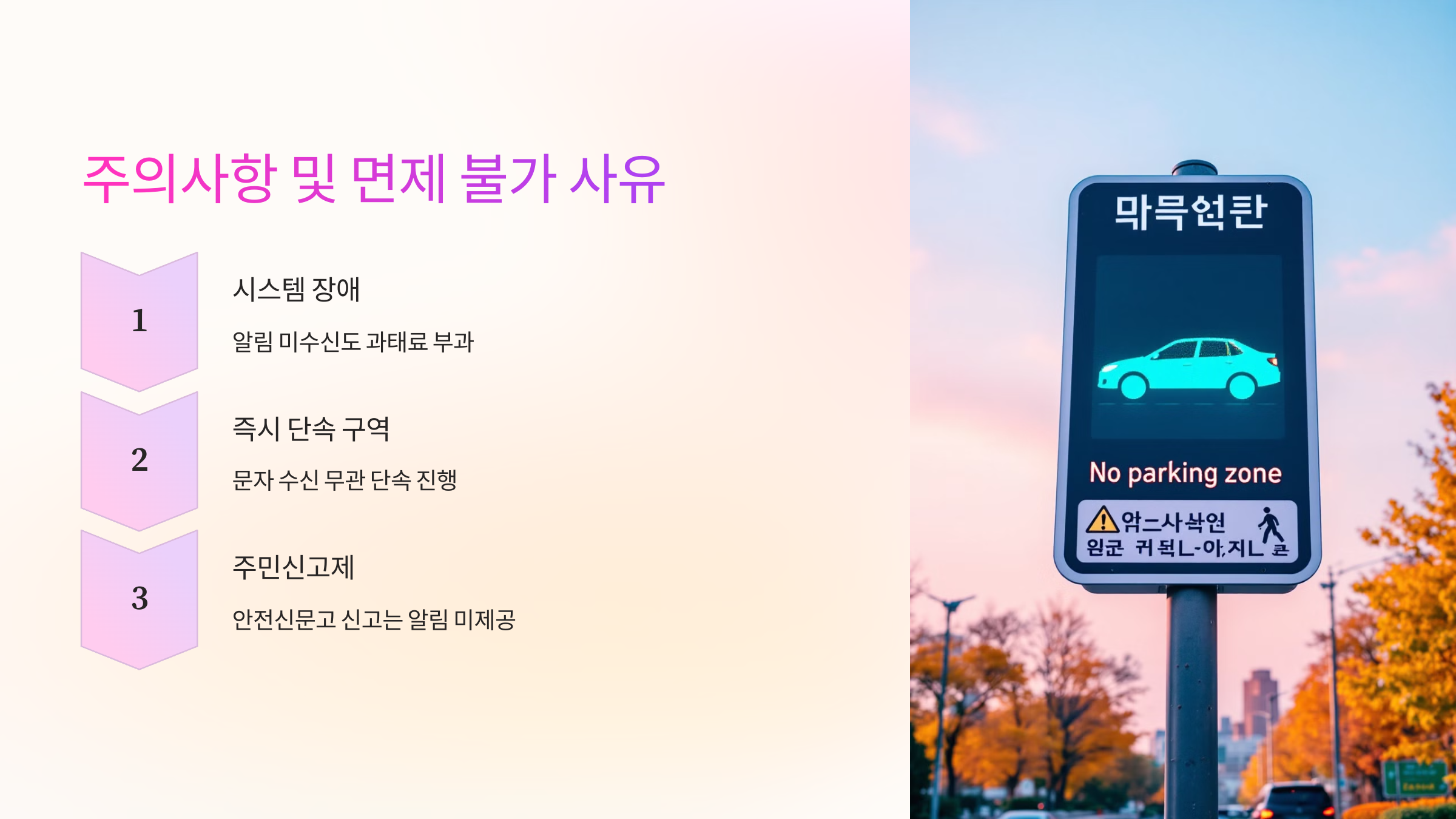⚠️ 주의사항 및 면제 불가 사유