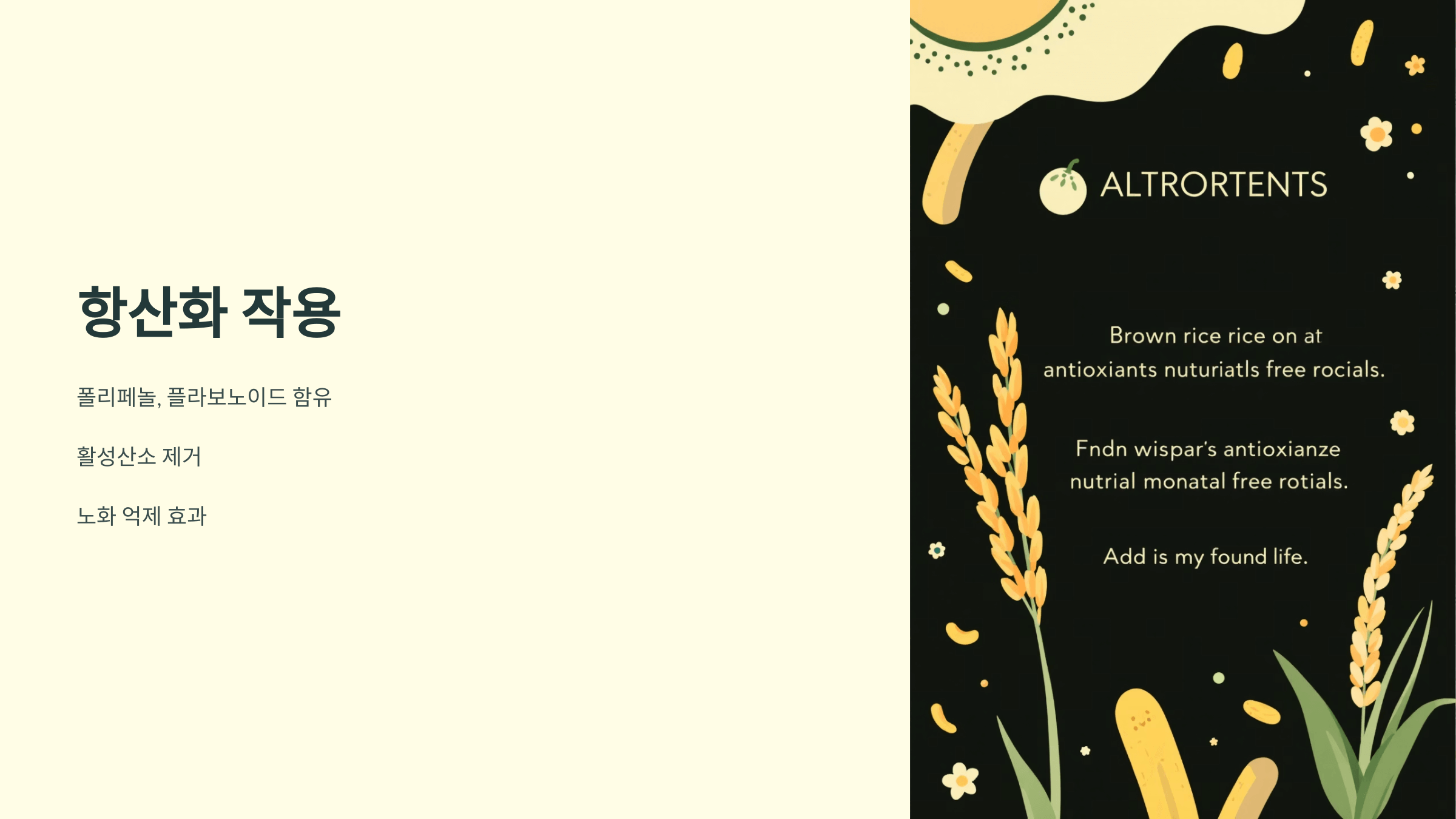 현미 사진입니다.