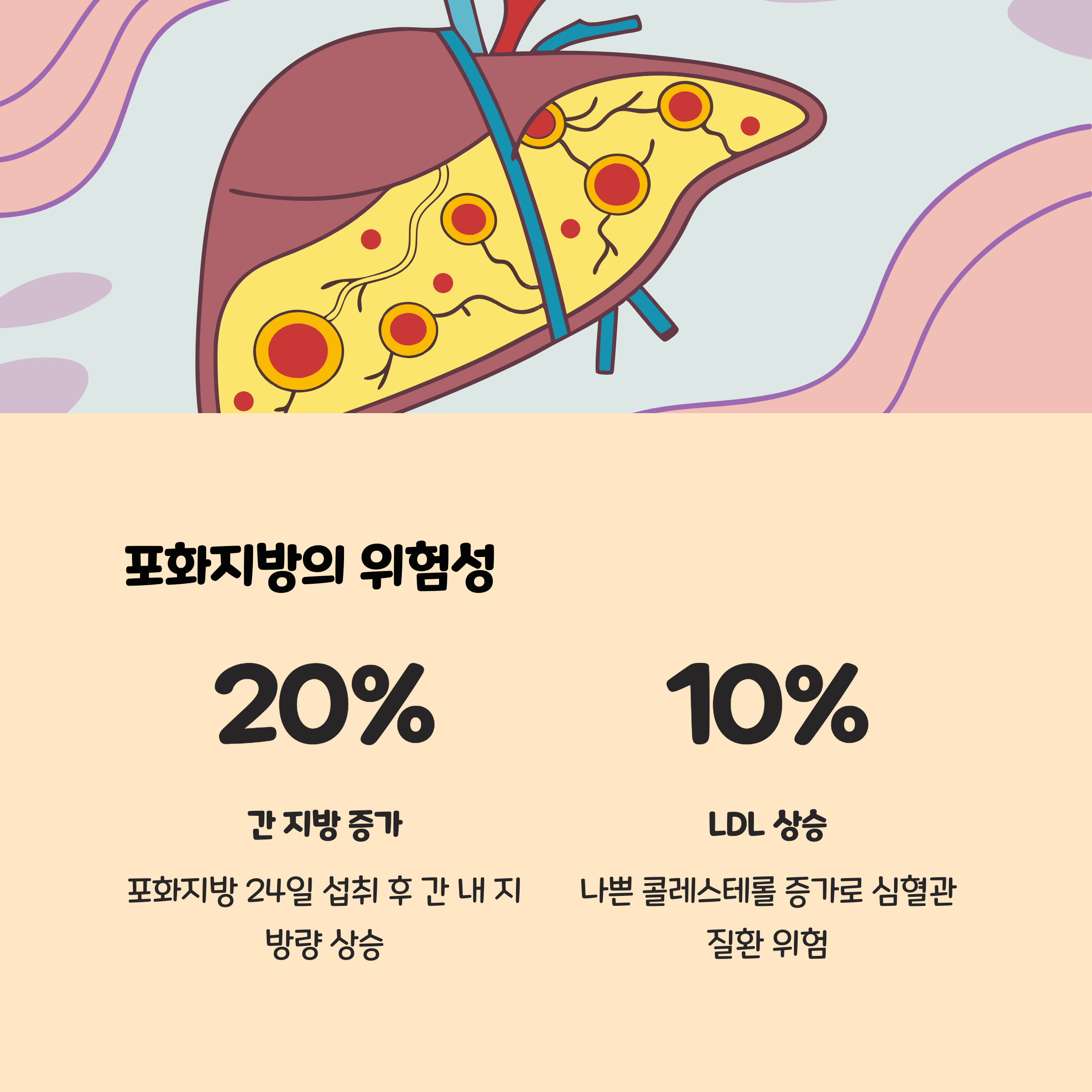 간과 심장을 공격하는 포화지방의 부작용