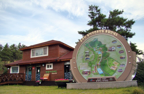 영천 가볼만한곳 베스트10