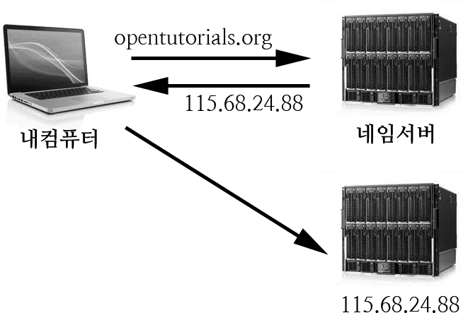 도메인과 IP