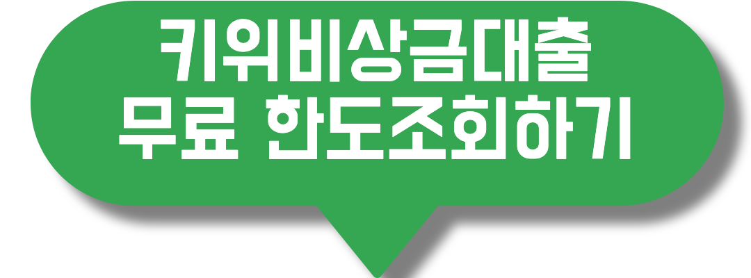 한도조회