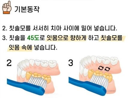 칫솔질의 기본
