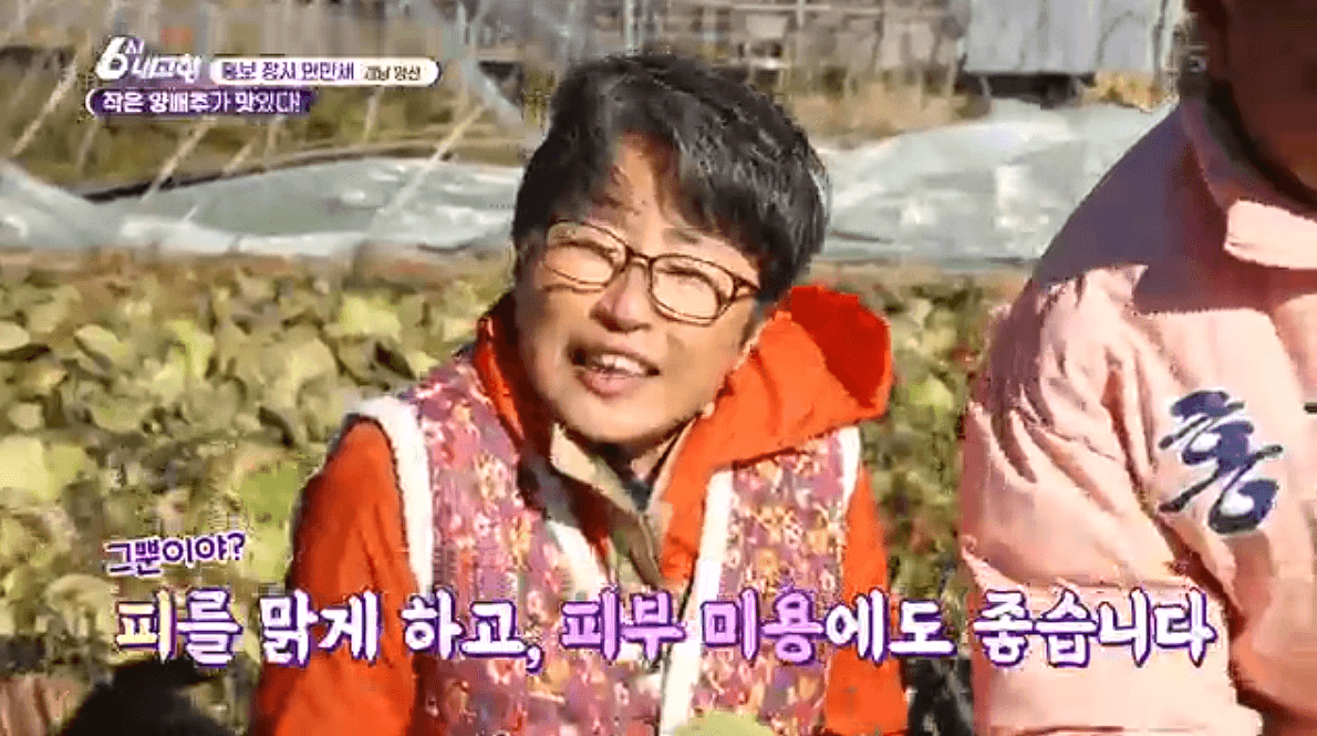 [6시내고향] 경남 양산 소형 양배추 명촌농원 스마트스토어 택배 판매처 정보를 설명하는 이미지