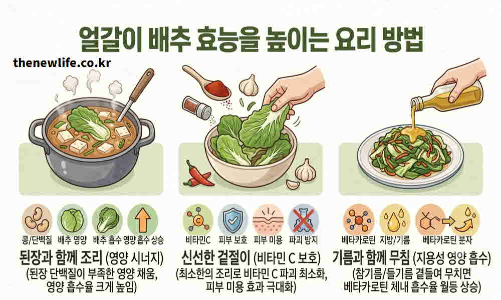 얼갈이 배추 효능 높이는 요리