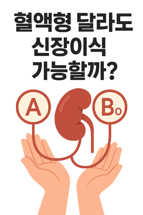 ABO 불일치 신장이식 인포그래픽