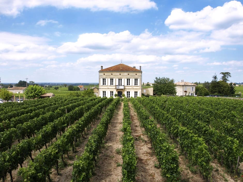 유럽의 아름다운 와이너리 여행 (프랑스 보르도, 이탈리아 토스카나, 독일 모젤)
