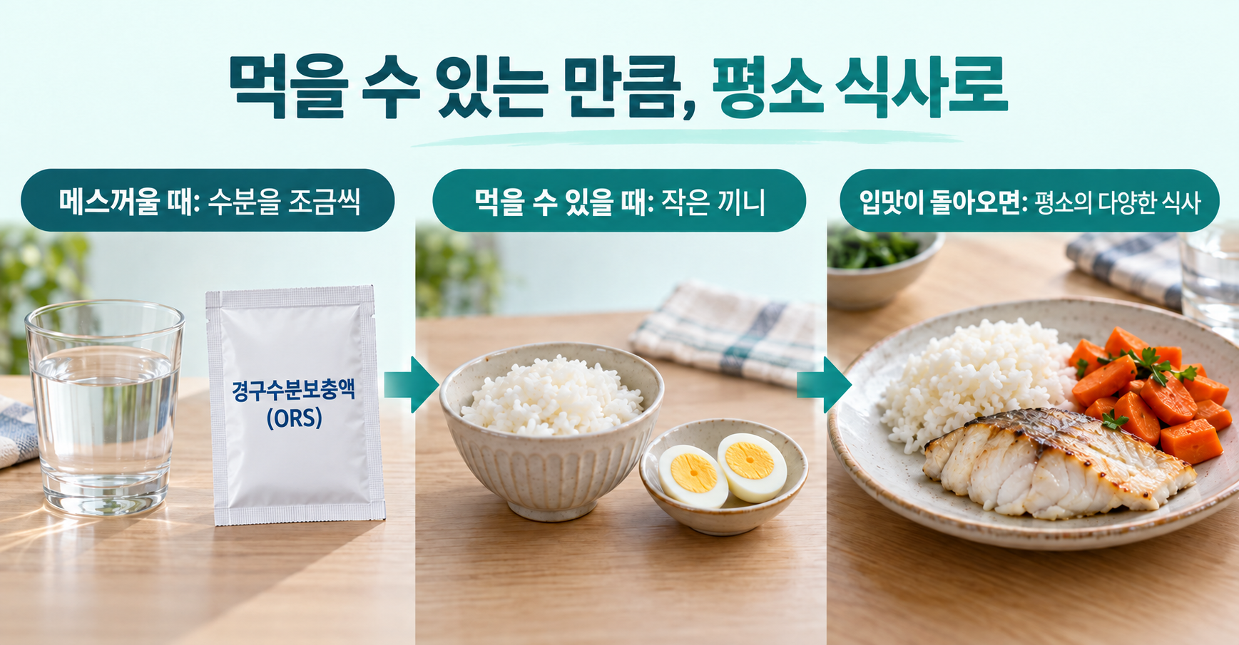 먹을 수 있는 만큼 평소 식사로; 메스꺼울 때: 수분을 조금씩; 먹을 수 있을 때: 작은 끼니; 입맛이 돌아오면: 평소의 다양한 식사