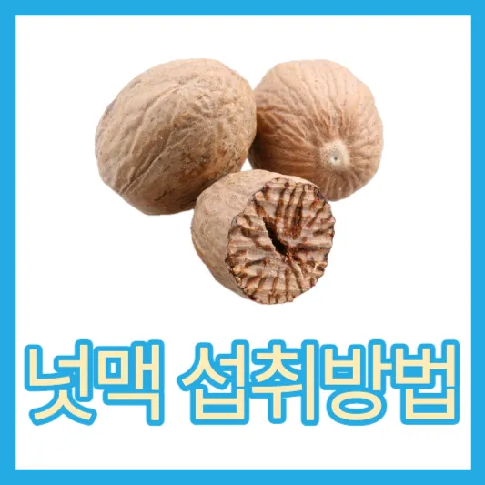 육두구 넛맥 효능 섭취방법 칼로리 가격 너트맥