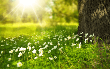 무기자차 선크림