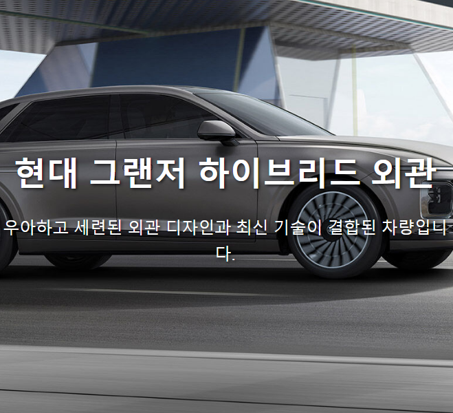 장기렌트, 왜 선택했을까?