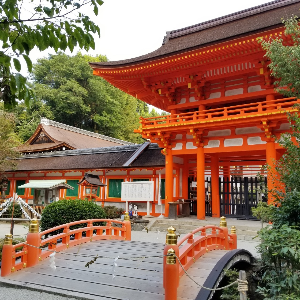 교토 여행 추천 가미가모 신사
