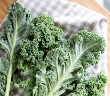 불안장애에 좋은 음식 영양제 식단