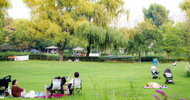 용산공원 자유입장 안내 이미지