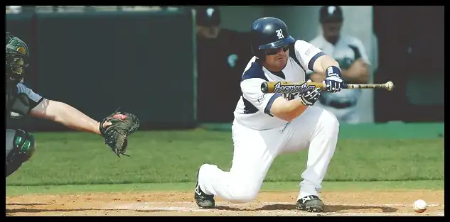 2024 WBSC 야구 프리미어 12 최종 명단 엔트리 확정!